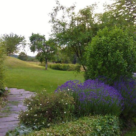 Quaint Holiday Home In Robechies Amid Meadows Chimay Buitenkant foto